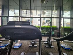 The Peak @ Cairnhill II (D9), Apartment #480419281